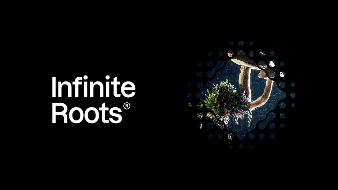 Biyoteknoloji girişimi Infinite Roots, 58 milyon dolar yatırım aldı