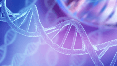 Google DeepMind’dan RNA ve DNA modelleyen yapay zeka modeli: AlphaFold 3